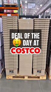 6.2K views · 437 reactions | Costco’s Iris WeatherPro containers are now $6.49 with $1.50 off, and they’re built to handle real storage situations. Think off-season clothes, cables, tools, or toys—all protected from dust and damp—tag someone who needs to declutter this weekend. #costcofinds #costcowonders #costcoinfluencer #costco #irisstorage #storagehacks #declutter #organizationtools #weatherpro #costcodeals | Costco Wonders | Facebook
