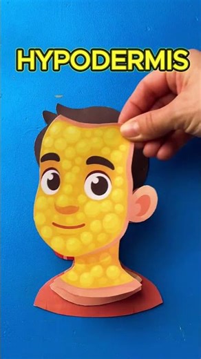 Skin Has Layers 👀👃 Let’s Discover 🧠✨