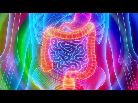 Healing Frequency for Constipation and Gastritis | Relieve Stomach Pain and Digestive Discomfort