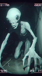 CCTV footage from a sealed underground vault in Siberia shows a captured alien standing in total silence. Its body is frail, gray, and hairless—arms hanging unnaturally long—while its massive, obsidian-black eyes lock onto the camera with chilling awareness. No guards are visible. No audio. Just the soft hum of fluorescent lights and the alien’s slow, deliberate breathing. The timestamp reads 1:11 AM, but the facility has been officially decommissioned since the 1990s. Power records show no acti