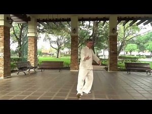 Yang Style TaiChi Form 108