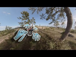 Playing in the Pines | FPV