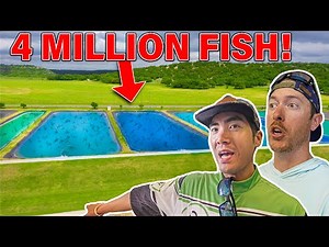 STOCKING 4 MILLION BASS at the FISH HATCHERY! ( FULL TOUR )