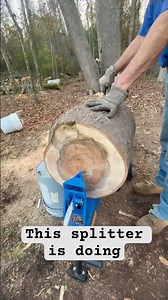 #splitter #woodworking #tree #woodwork #firewood #splittingwood #wood #splitting