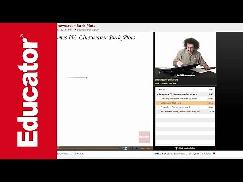 Lineweaver Burk Plots | Biochemistry Tutorial