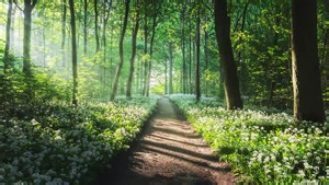 How to Approach Compositions in Landscape Photography