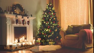 Southwire Outdoor Extension Cord - Landscape-Friendly Power for Small Outdoor Appliances - Flexible SJTW Jacket - Green Finish - UL Listed - 16/3 - 40 Foot Length