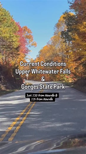 🍁 Come with me to check on the fall colors at Upper Whitewater Falls and Rainbow Falls 📍Upper Whitewater Falls 🚘1:25 from Asheville, NC 🚘1:15 from Greenville, SC 🥾Short, paved trail, approximately 1/4 mile Optional stairs to get a closer look $3 per-vehicle fee at the entrance. 📍Rainbow Falls at Gorges State Park 🚘Approximately 12 minutes from Upper Whitewater Falls 🚘1:14 from Asheville, NC 🚘1:25 from Greenville, SC 🥾Approximately 3.3ish miles to Rainbow Falls #UpperWhitewaterFalls #Ra
