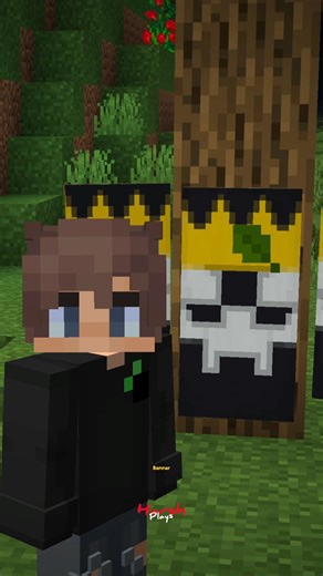 Skeleton King Banner ! 💀😮