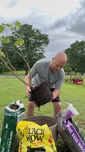 How to grow FRUIT TREES in CONTAINERS. Setting it up correctly with this soil mixture is a must when it comes to keeping them alive! #howto #fruit #fruittrees #tree #plant #plants #garden #homestead #gardening #nc #plantlife #plantlover #berry #berries | Salty Acres