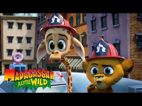 The little firefighters | Madagascar: A Little Wild