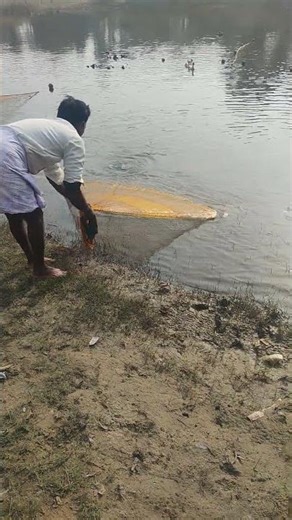 “The fisherman caught a lot of fish 🐠🐠 with a casting net.” #fishing #viral #viralvideo