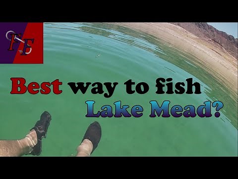 The best way to fish Lake Mead