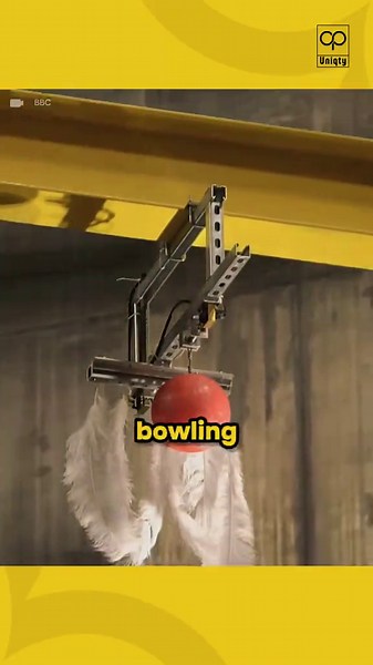 Feather & Bowling Ball Drop in Vacuum: Gravity Proved!
