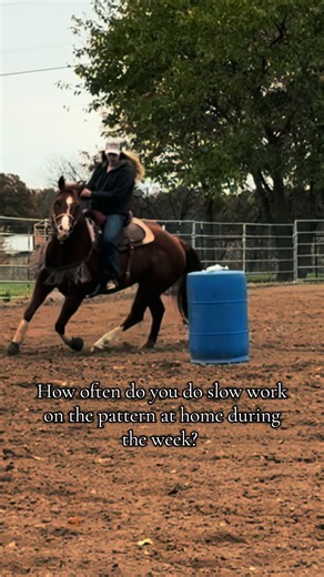 #barrelracing #barrelracingtok #barrelhorses #training #fyp | Barrel racing