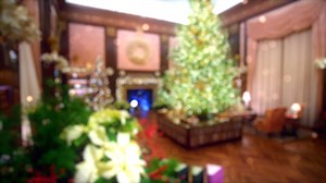 8.9K views · 444 reactions | Light Up the Holidays with a visit to Chester County's Brandywine Valley. Memories are made merry and bright in illuminated wonderlands, with glowing main streets to explore and cozy accommodations to call home. Receive untimed tickets to Longwood Gardens with your stay, just a drive away in the countryside of Philadelphia. | Chester County's Brandywine Valley | Facebook