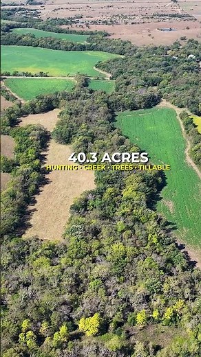 Butler County Hunting Land for Sale - 40.3 Acres Selling by Auction