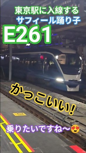 東京駅に入線するサフィール踊り子 乗りたい！ E261