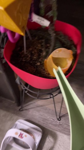 Interactive Frog Feeding Game for Kids