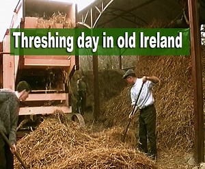 Threshing day in Kerry, showing the men feeding the thresher and the woman of the house preparing to feed the men. To watch more of our videos jump on over to our youtube channel - Videos of Irish Farming Life | Videos of Irish Farming Life