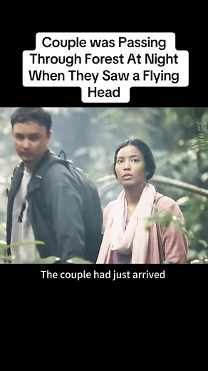 Unexpected Encounter in the Dark Forest