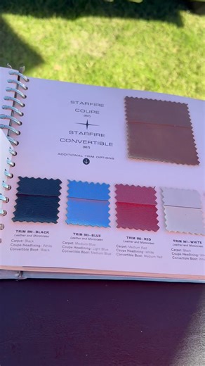 Steven Aaron Schwartz on Reels