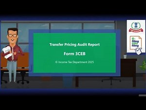 Transfer pricing audit report in form 3CEB (Hindi)