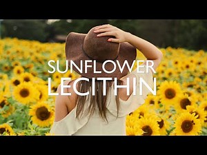 Sunflower Lecithin Powder Explained - Organic & Non-Organic