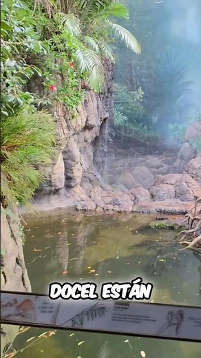 Jungle World (Bronx Zoo)