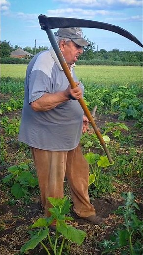 Secrets of the Old Mowers: How They Cut Grass by Hand #garden #scythe #mowing #tradition #oldways