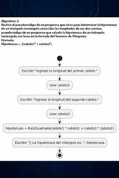Algoritmos para aprender a programar parte 2 #programacion #algoritmos