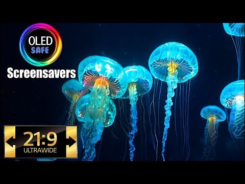 Calming Neon Jellyfish 21:9 4K Live Wallpaper - 10 Hours - OLED Safe - Perfect for Relaxation