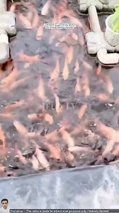 113K views · 964 reactions | Galing Ctto:  Let’s watch this...