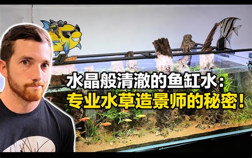 [中配]水晶般清澈的鱼缸水：专业水草造景师的秘密！ - AQUAPROS