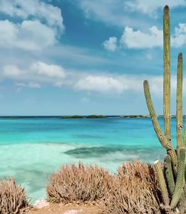 100 reactions · 27 comments | Breathtaking views can be found all over our island. What is your favorite spot in Aruba? | Holiday Inn Resort Aruba-Beach Resort & Casino | Facebook