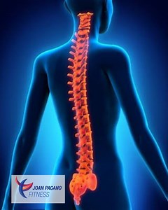 Exercises for Osteopenia of the Spine — Joan Pagano Fitness