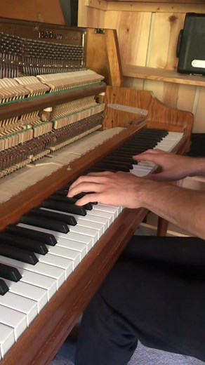 Neighbors told me they hate listening to me play 😂 #pianist #piano #pianomusic | BaileyPiano