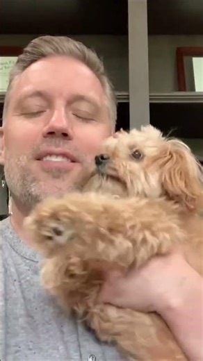 We will miss you forever 💔🌈 🐶To our sweet puppy Braidy #dog #love #loss