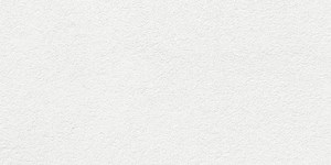 SSS급 이케맨의 취미 생활 下: Y의 증명