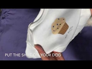 Baby clothes transformed into dog clothes!