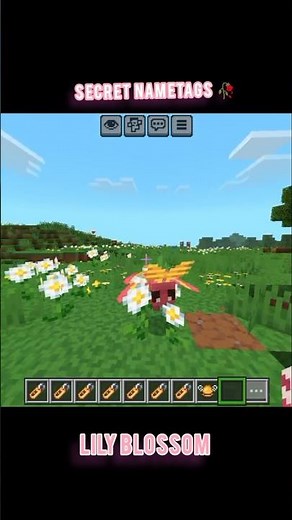 Minecraft bee secret nametags in actions and stuff