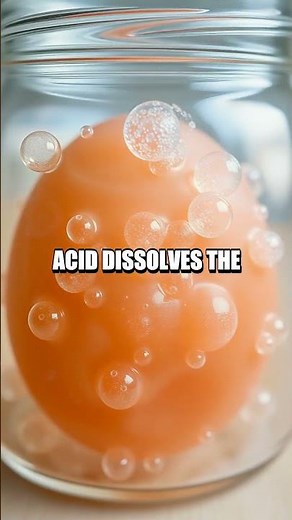 Bouncing Egg Experiment