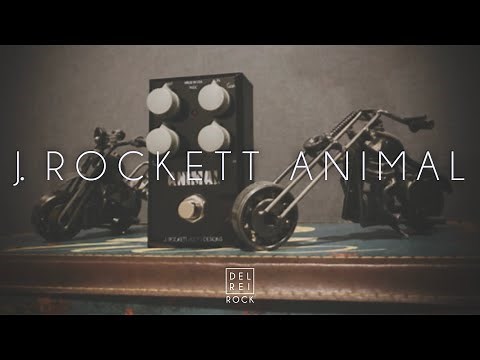 J. Rockett Audio Designs Animal - Demo & Playthrough
