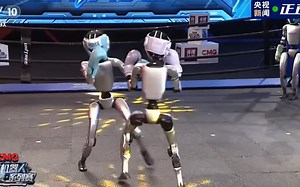 ¡Robots al ring! Inauguran el primer torneo de boxeo humanoide | VIDEO