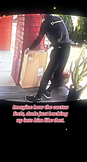 planetarycamera on TikTok