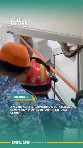 3.4K views · 13 reactions | A quiet day in a Kedah household took a...