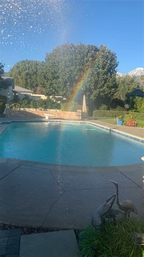 Pool and repair service #bertinopoolservice #swimmingpool #poolcleaningservice