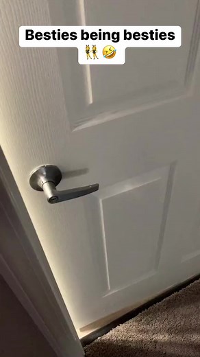 Besties being besties 👯‍♀️ 🤣 #reels #pet #besties #fliptheswitch #dog #viral #tbt | Tricia & Kam