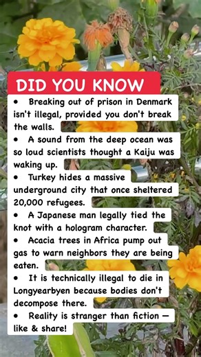 Laws & Facts That Sound Fake 🚫#bizarre #mystery #law