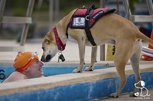 10K views · 1.2K reactions |   Pour l'amour ❤️ d'un humain que ne...